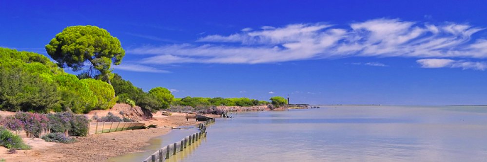 Disfruta del Parque Nacional de Doñana en hotel 4*
