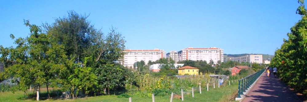 ¡Conoce Torrelavega con Pensión Completa!